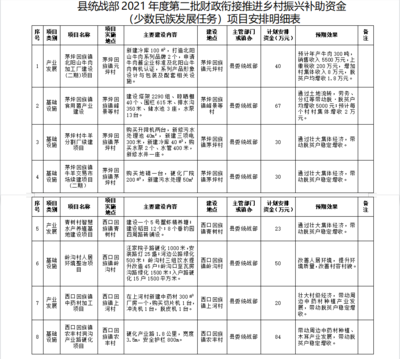 中共镇安县委统战部关于2021年度第二批财政衔接推进乡村振兴补助资金(少数民族发展任务)项目安排的建议意见