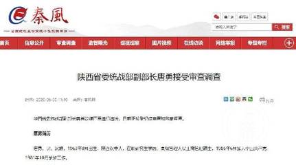 陕西省委统战部副部长唐勇被查:曾因运作其子读本科,卷入商人敲诈校长案当证人