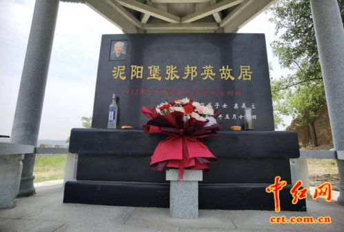 泰传奇 传承发扬照金精神的春天行动