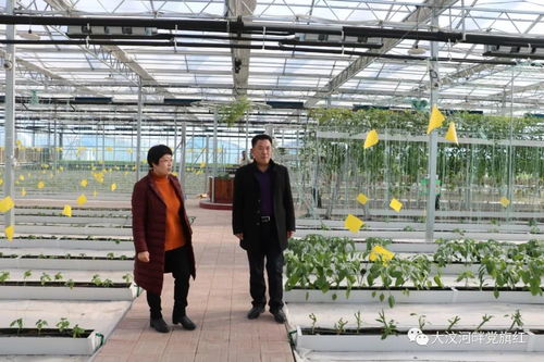 县委统战部主任科员袁学敏到军屯乡调研统战工作
