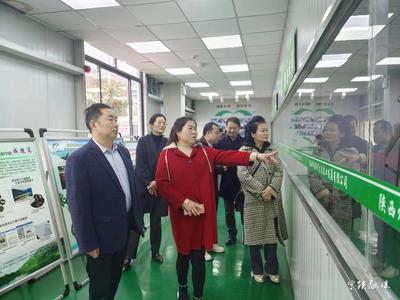 英国陕西商会走进宁陕考察促合作