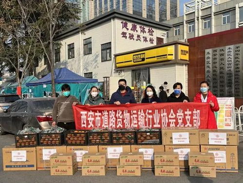 公益传播 古都封城记 陕西省统一战线同心抗疫纪实 中国企业报