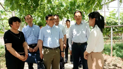 中央统战部来泾阳调研基层统战工作