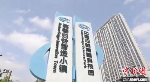 春风化雨孜孜十载 记浙江统一战线助推嘉善高质量发展